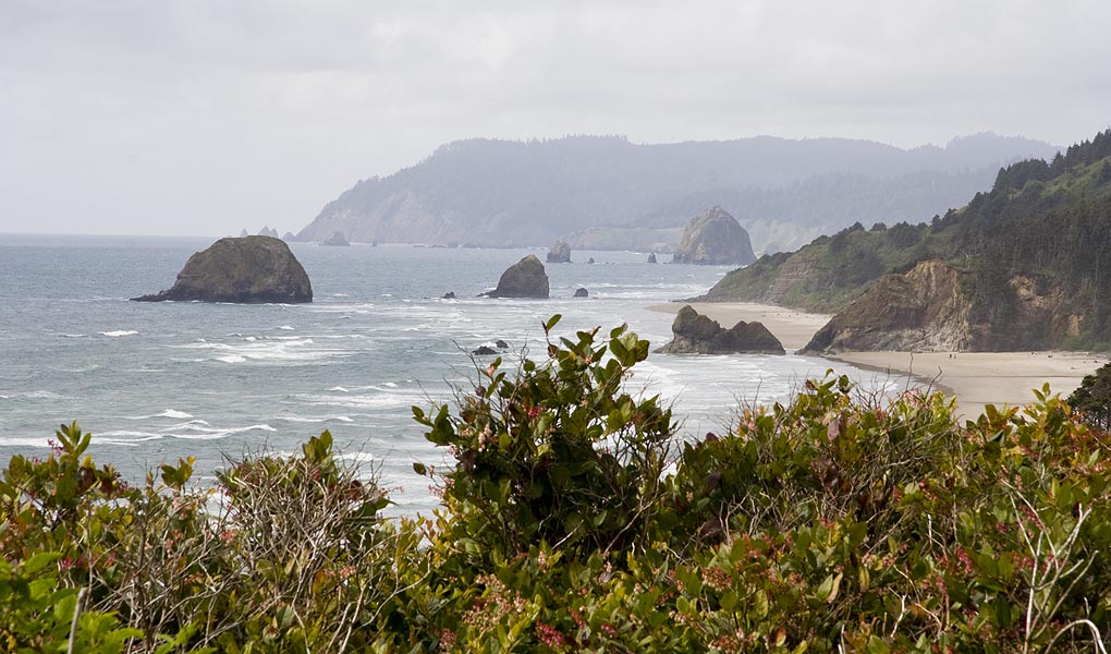 Sea Stacks, Canon Beach