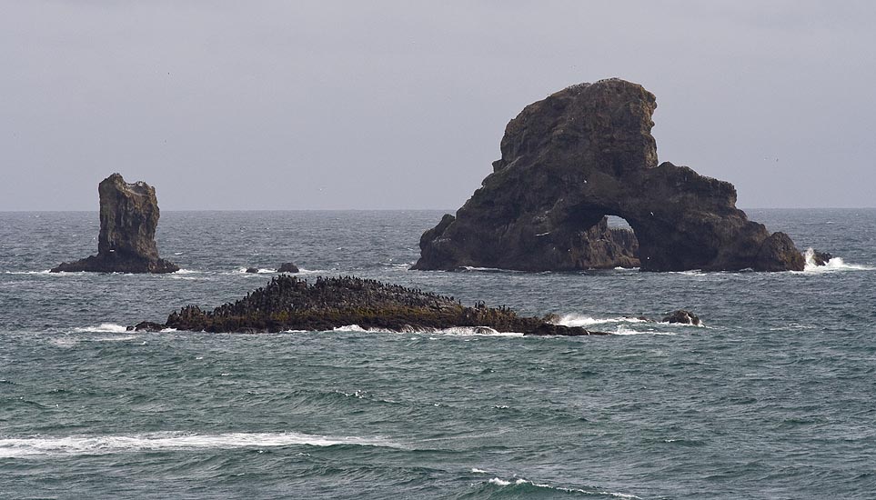 Offshore Bird Colonies