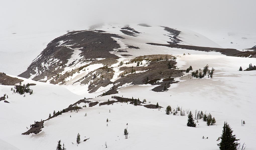 Above the Tree Line
