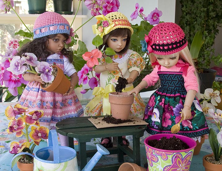 Today is "Repot Your Houseplants Day"