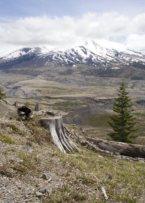 One Last Look at Mount St. Helens