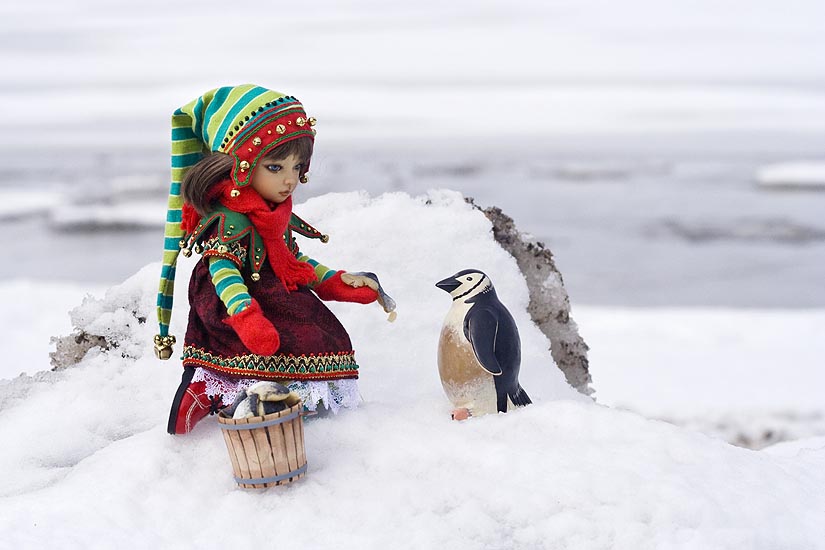 World Penguin Day