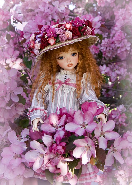 Pink Blossoms