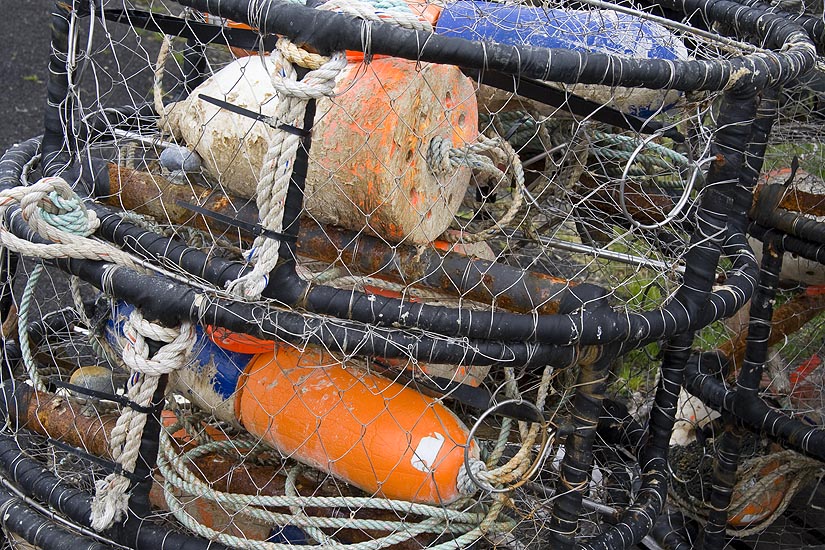 Crab Pots