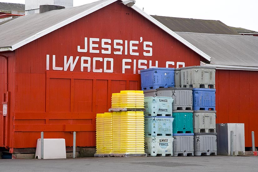 Jessie's Fish Company