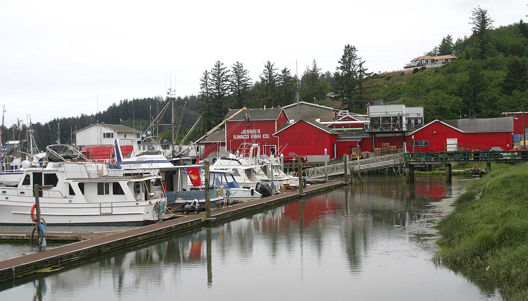 the Fish Company