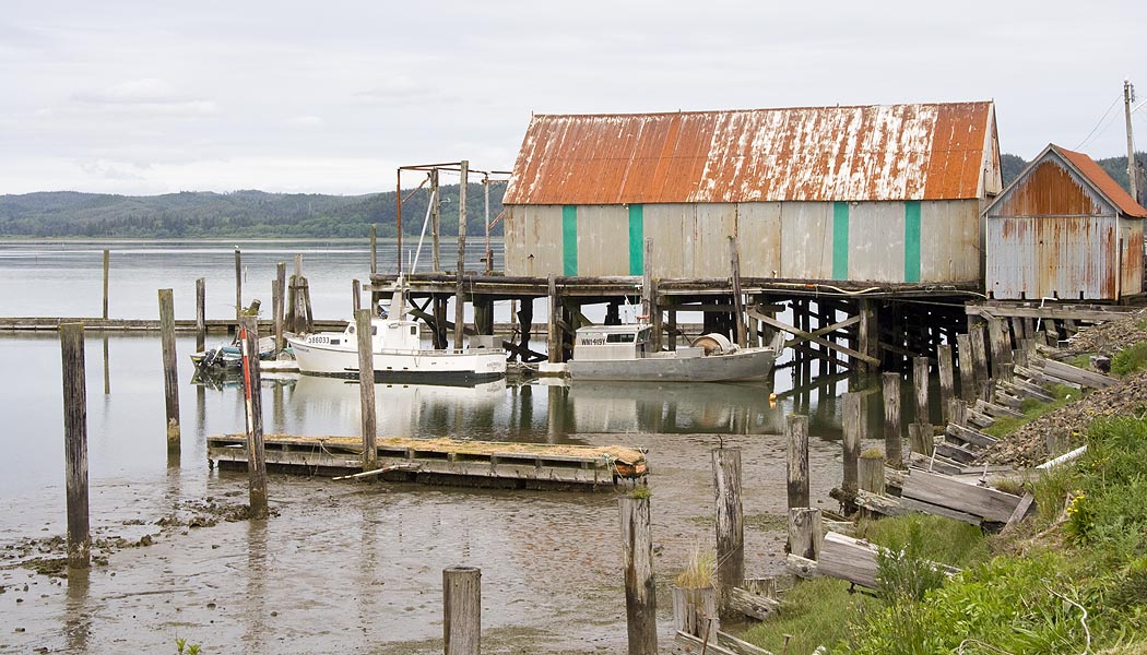 Low Tide in Tokeland