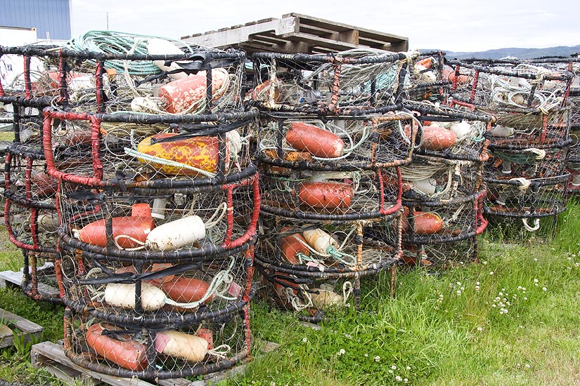 Stacks of Crab Pots