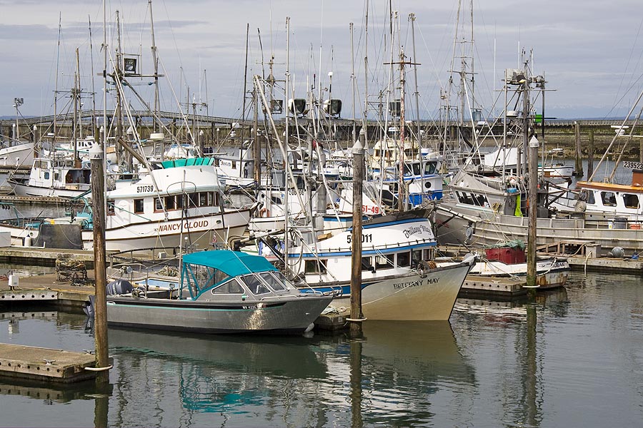 Westport Harbour