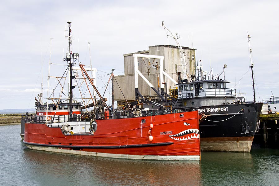 Vicious-Looking Boat