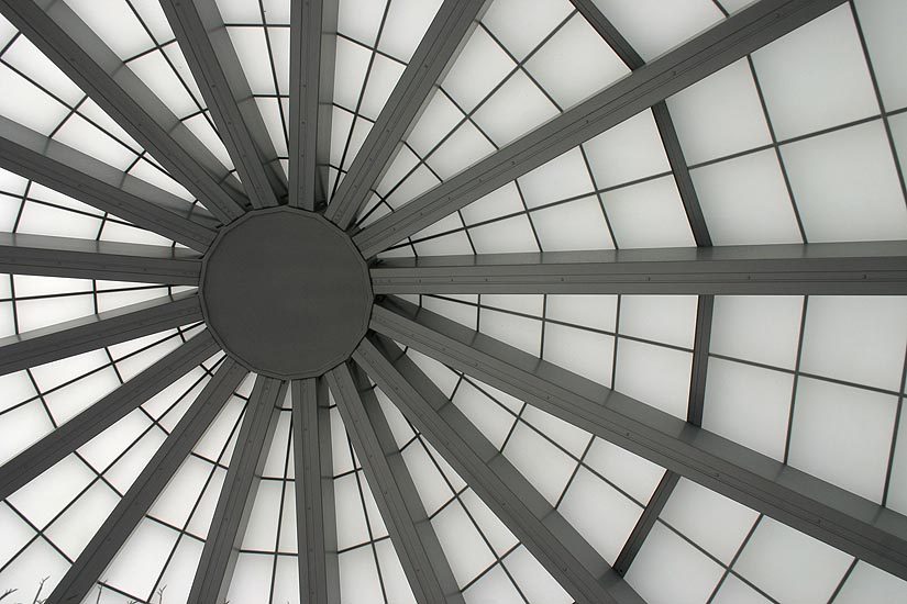 Looking Up