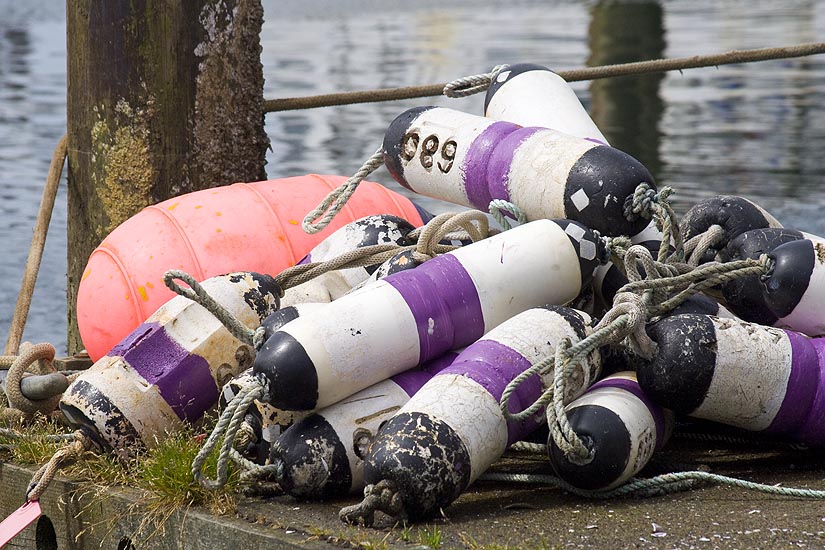Floats on the Dock