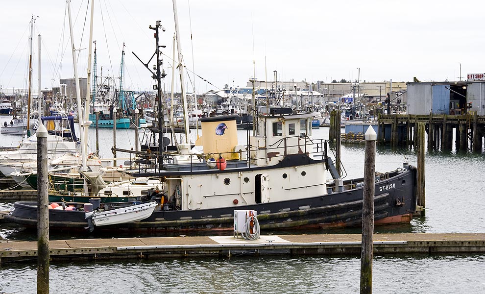 Back Down at the Harbour