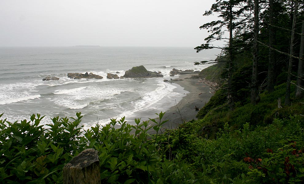 Pacific Coast, Olympic National Park