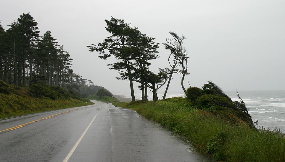 Road with a View