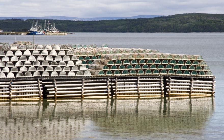 Lobster Traps, Port Saunders