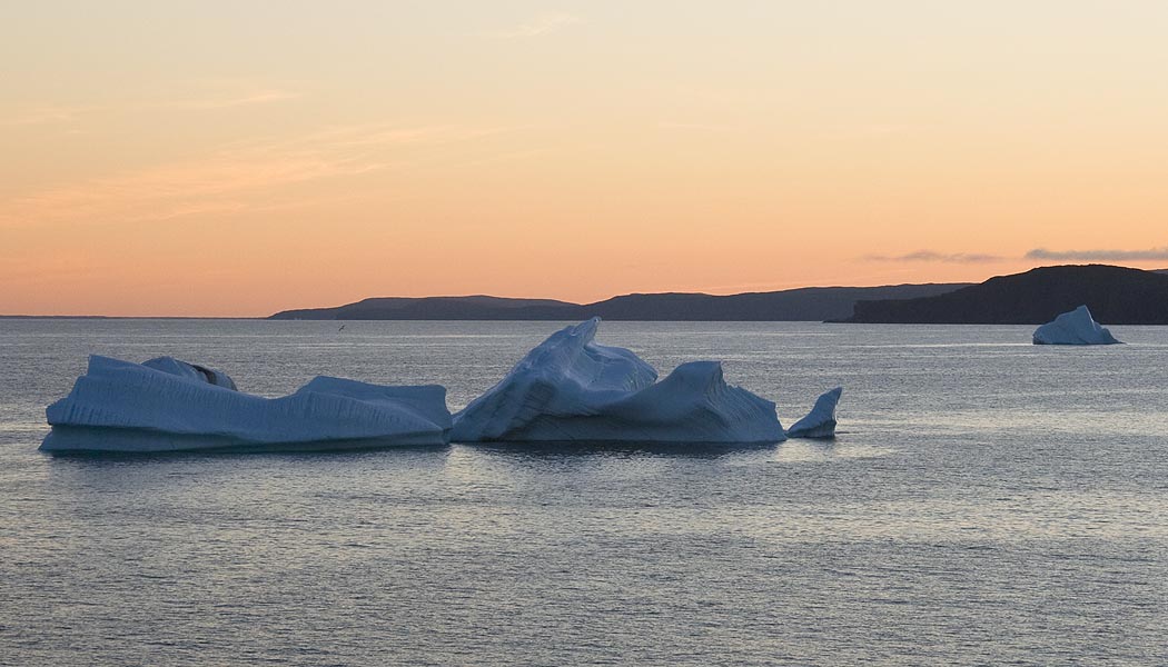 Icebergs at Sunset, Goose Cove