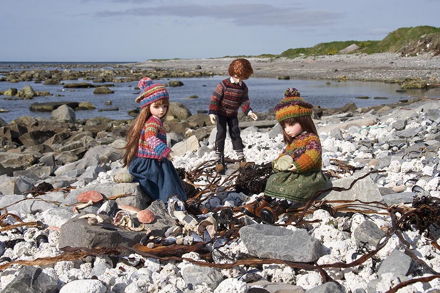Beach-Combing Along the Strait of Belle Isle