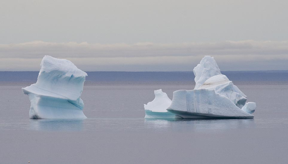 Icebergs off Forteau