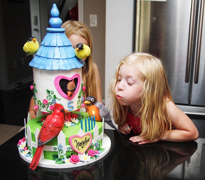 Make a Wish and Blow Out the Candles!