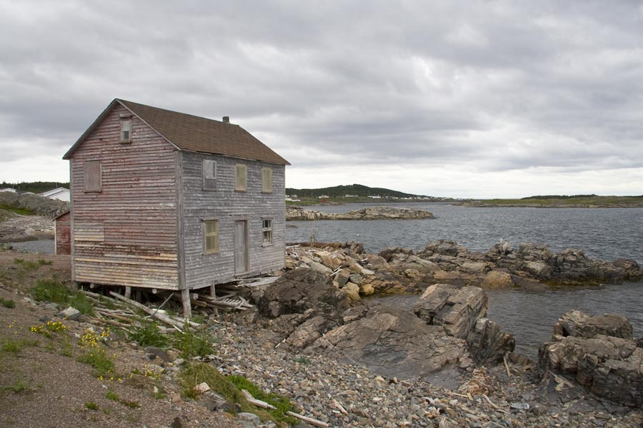 Abandoned House, Island Harbour, Fogo Island