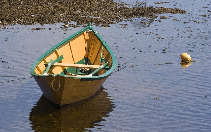 Lone Dory