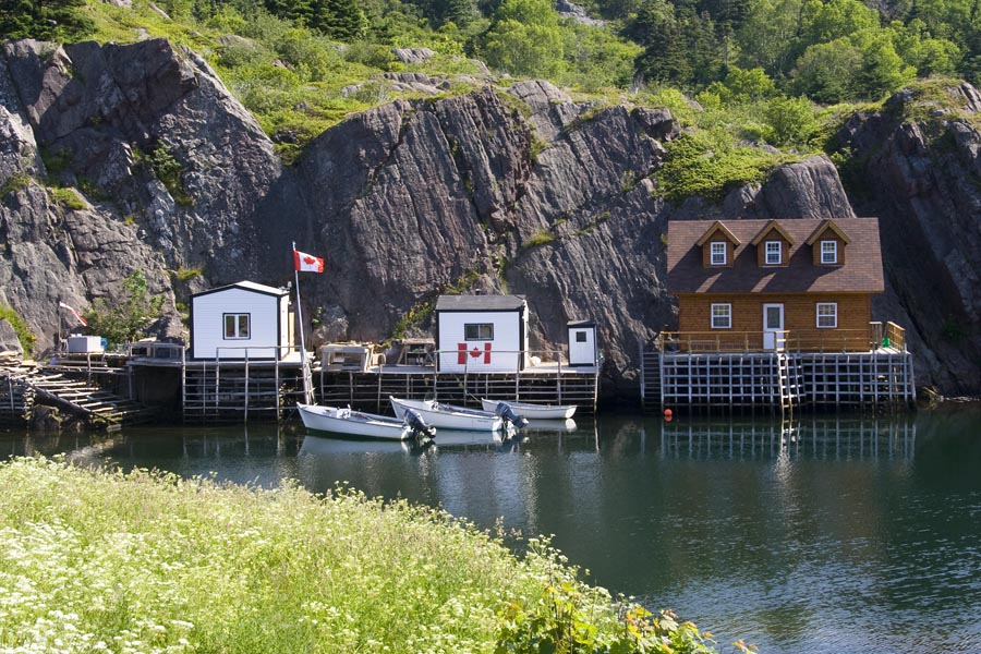 Quidi Vidi