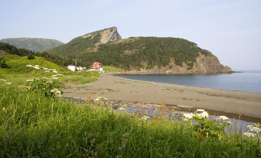 Bottle Cove