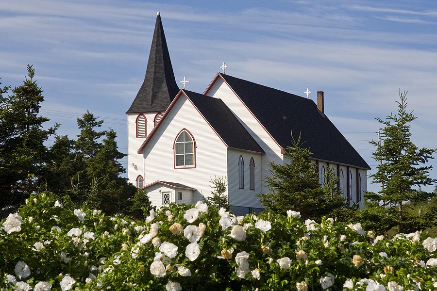 White Church & Roses, St. David's