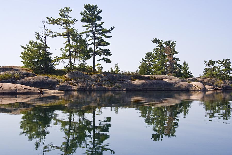 Rocks and Pines 