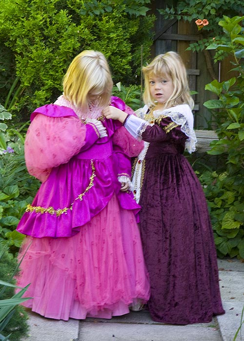 Two Fancy Ladies