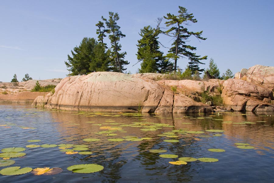 Rocks and Lily Pads