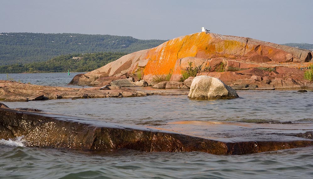 Orange Rock with Sea Gull