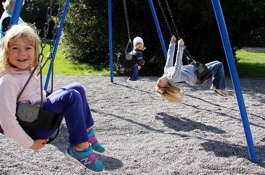 Fun on the Swings