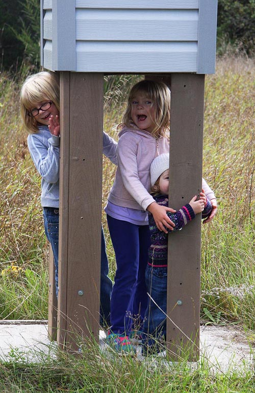 Three Silly Girls