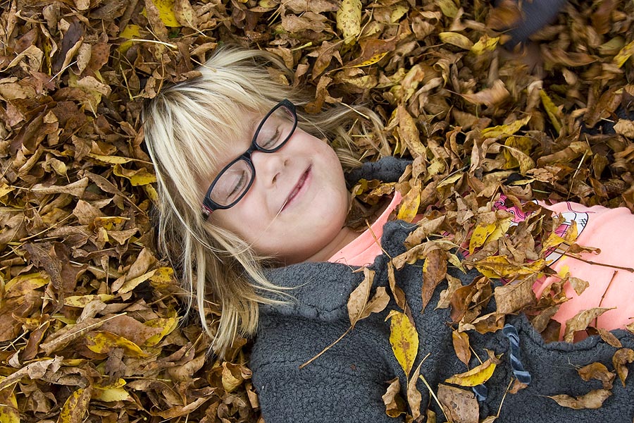 Asleep in the Leaves