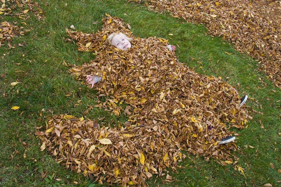 Natalya, the Leafy Fox