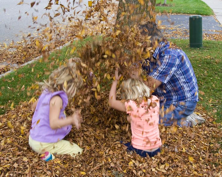 It's Raining Leaves!