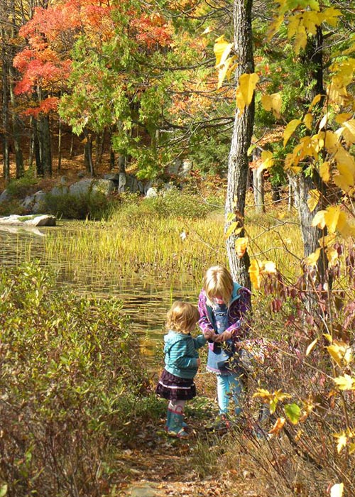 Looking at a Fallen Leaf