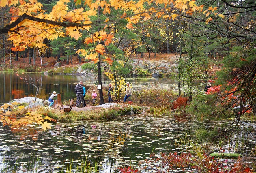 Hike in the Fall Colours