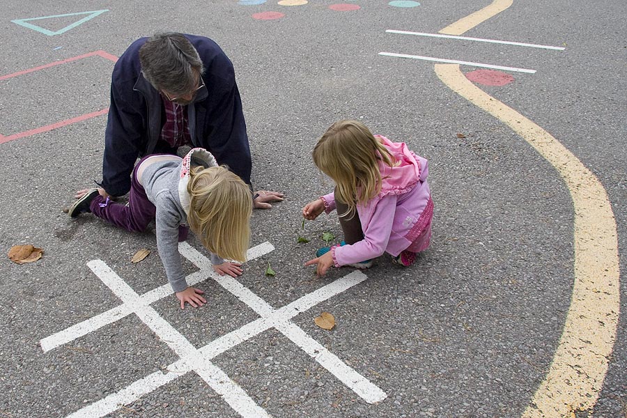Playing Tic-Tac-Toe With Leaves