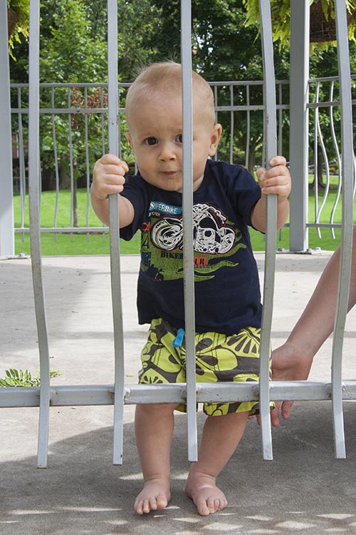 Peering Through the Railing