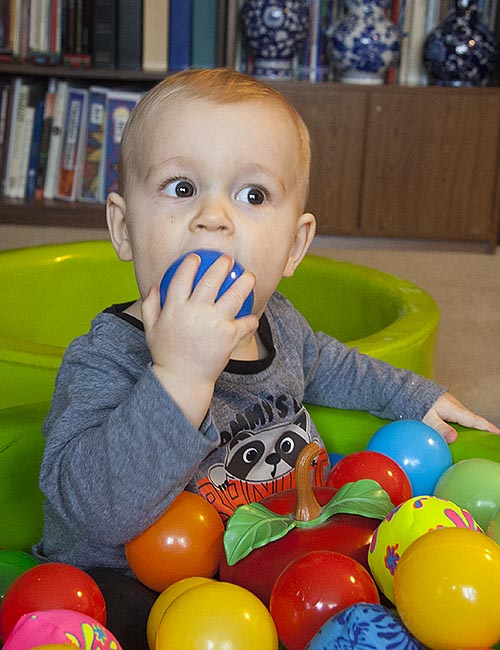 Taste-Testing the Balls