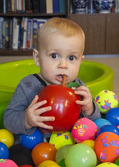 An Apple A Day......