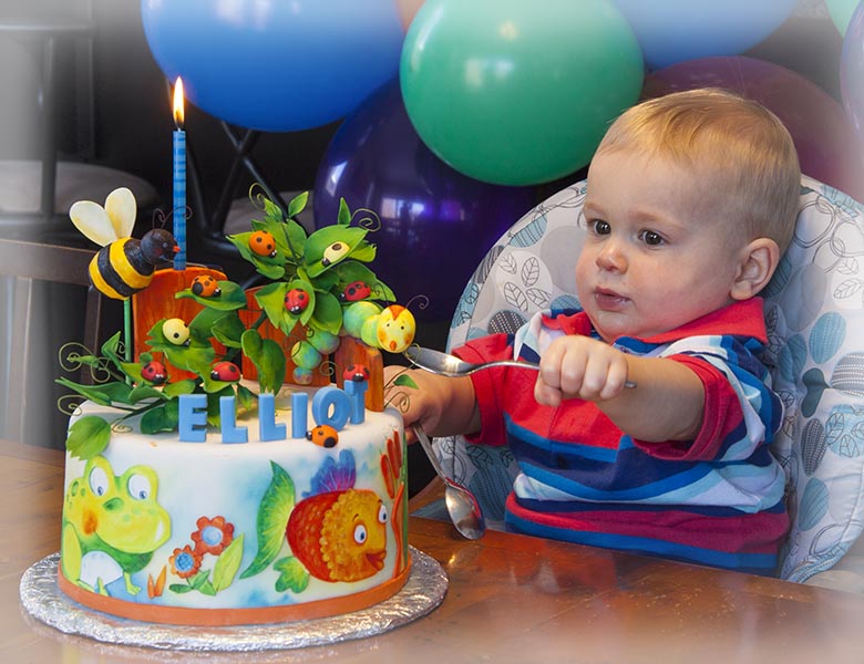 Ten Little Ladybugs Cake