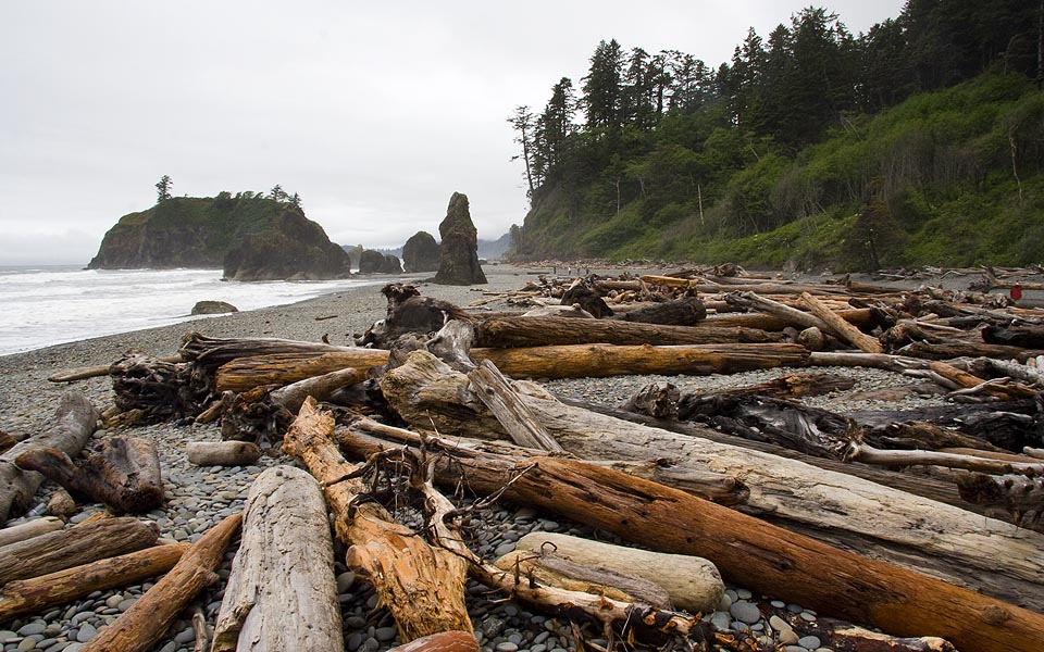 Ruby Beach, Olympic Nat Pak