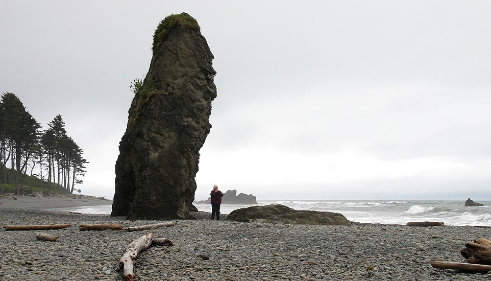 Another Sea Stack