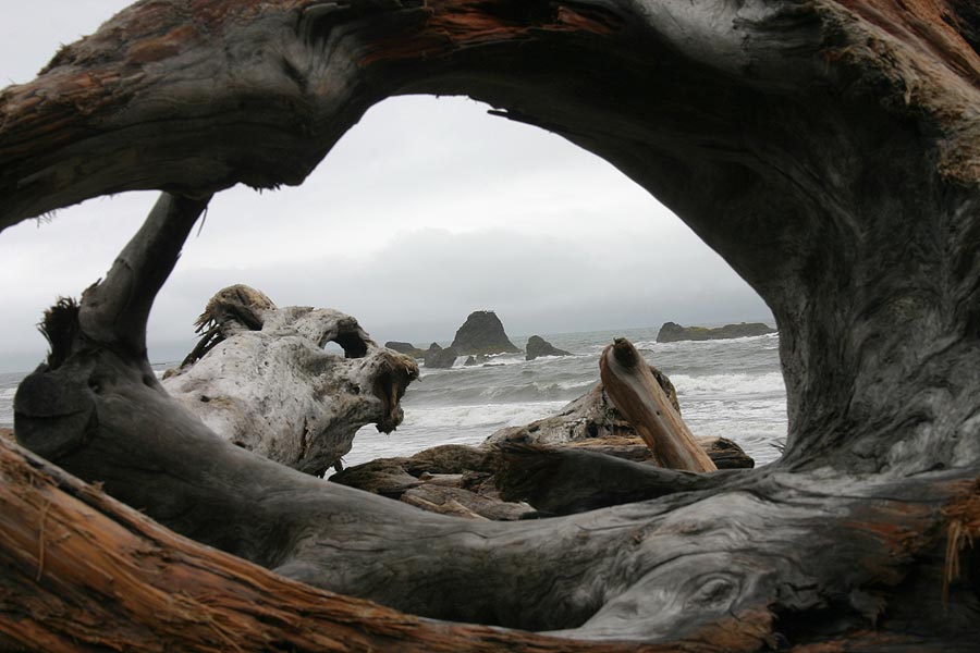 View Through the 'Window'