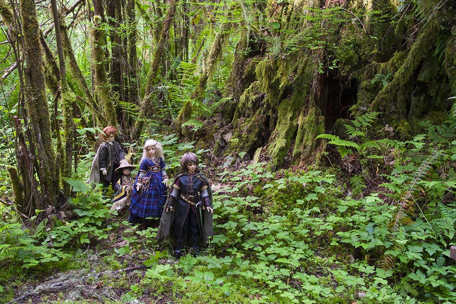 Through the Forest
