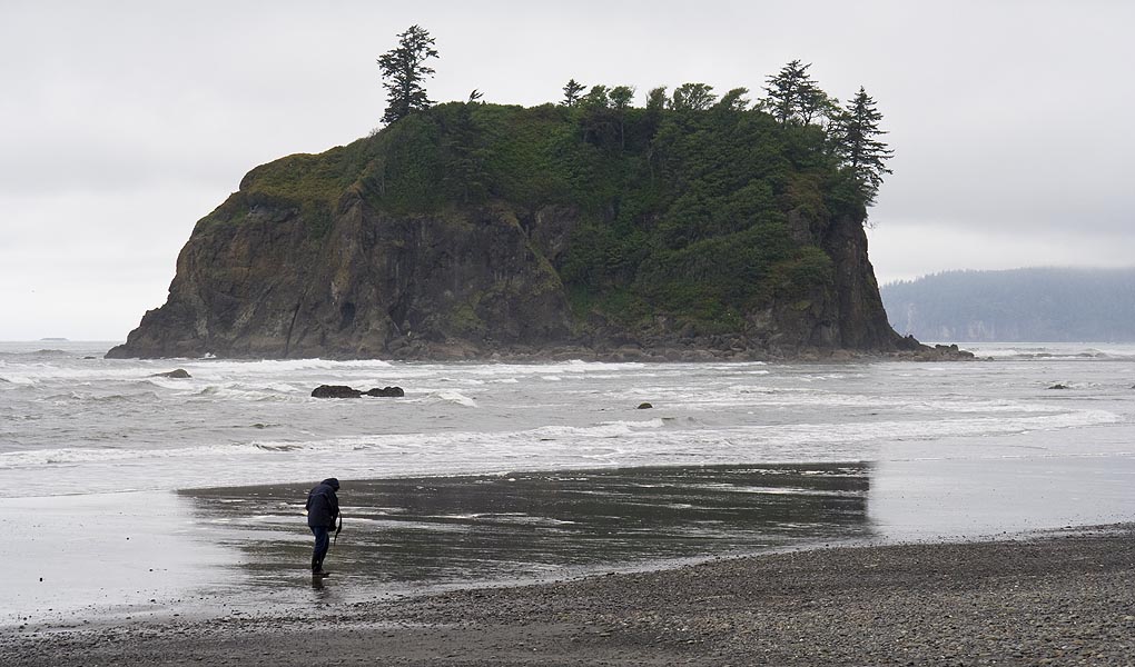 Beach Combing